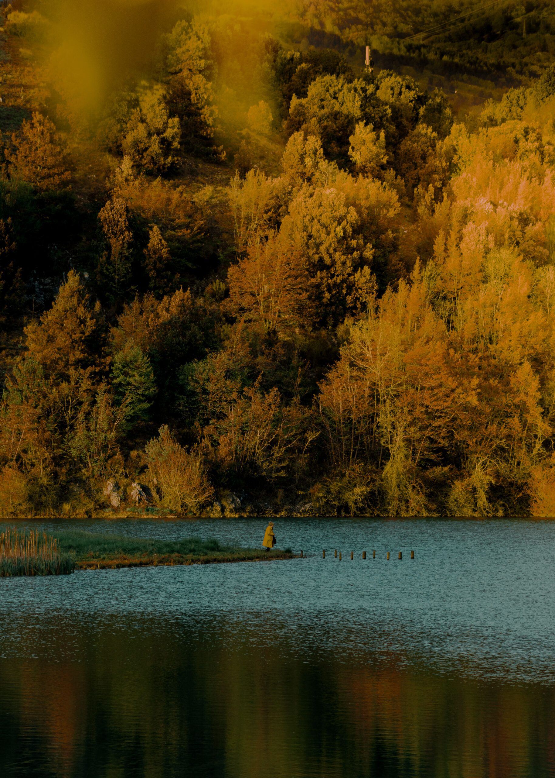 Una foto del lago del Pantano tra le più belle scattate nelle foreste italiane
