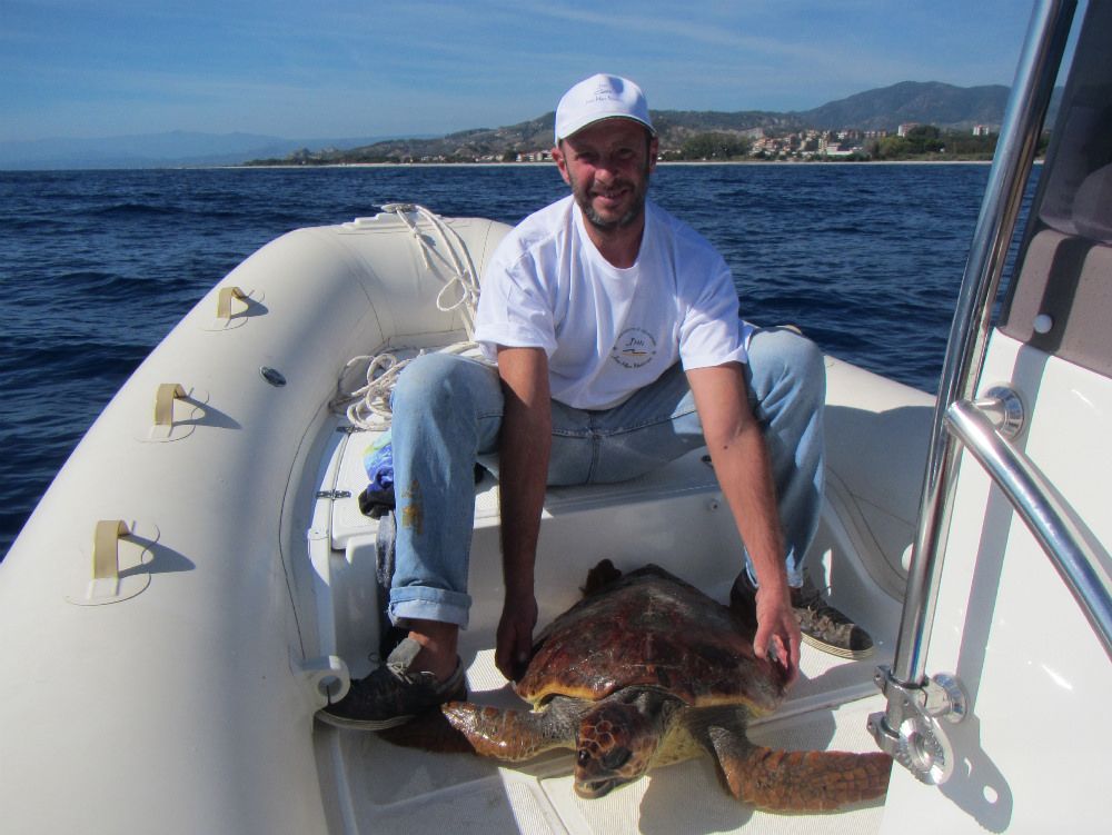 "Caretta caretta" recuperata al largo di Monasterace