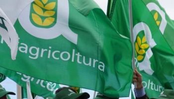 Bioenergie, Confagricoltura promuove l’emendamento sui prezzi minimi