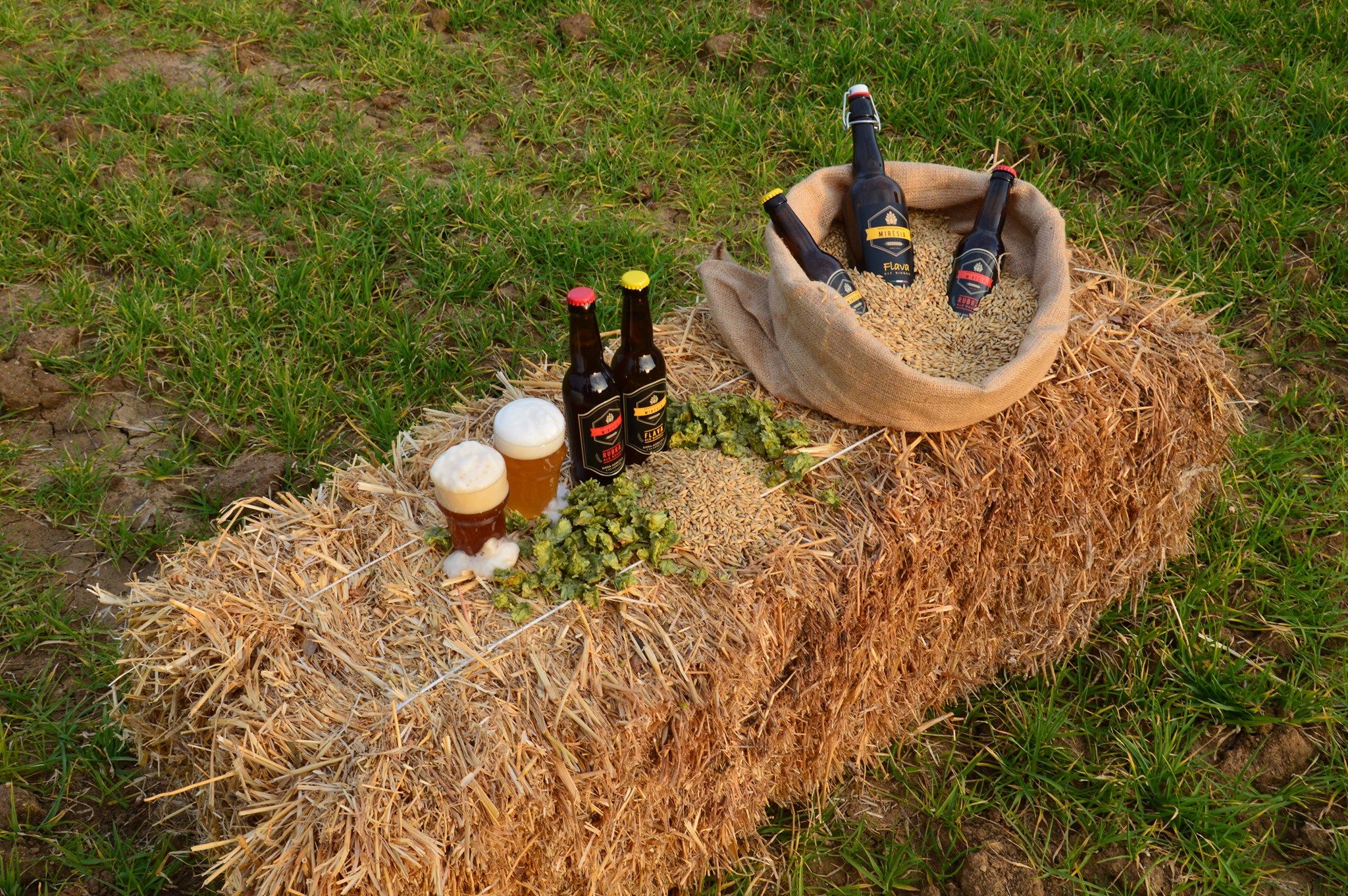 Dai luppoli alla bottiglia, il birrificio arbereshe a km zero nella Calabria della biodiversità