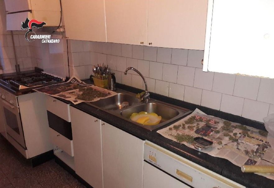 Laboratorio di droga in cucina, in manette due fratelli