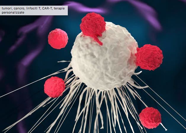 Trapianti di midollo osseo, a Reggio arrivano le terapie più avanzate
