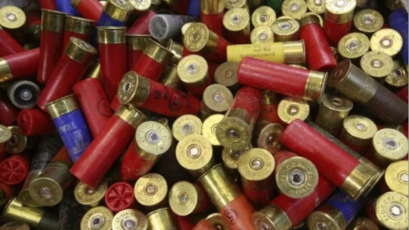 Detonatori per tritolo e armi trovati in casa della consigliera leghista di Formello. Appartengono ai clan di ‘ndrangheta