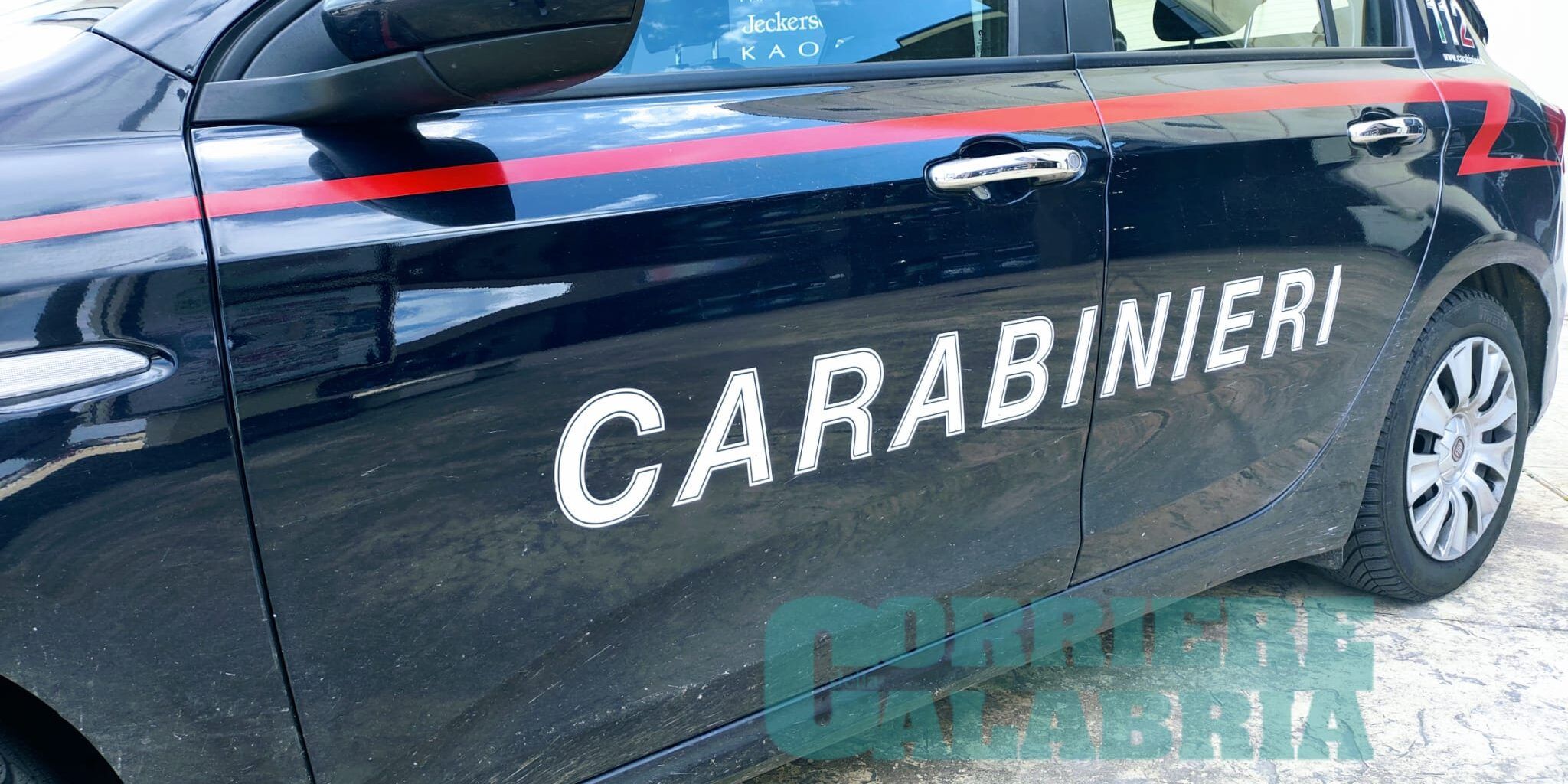Malvito, droga e furti: i business illeciti scoperti dai Carabinieri