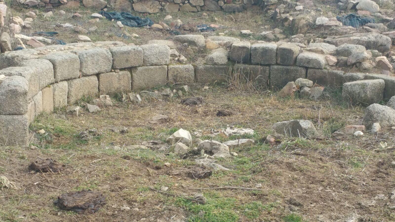 Un sito archeologico ricoperto dallo sterco