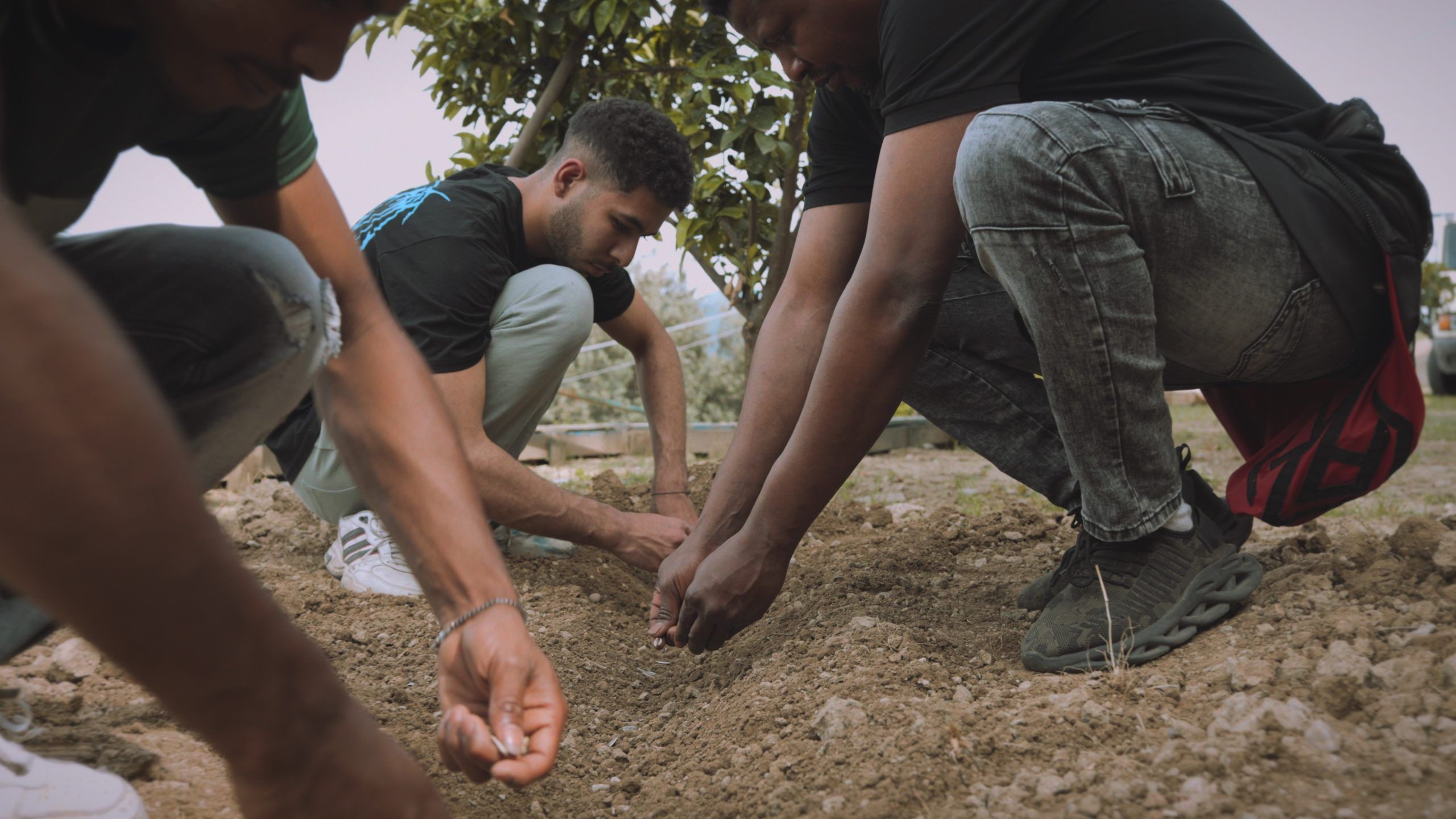 La Cooperativa “La Terra” brilla a Roma. Premiati il regista cosentino Belcastro e la Epos Film – VIDEO