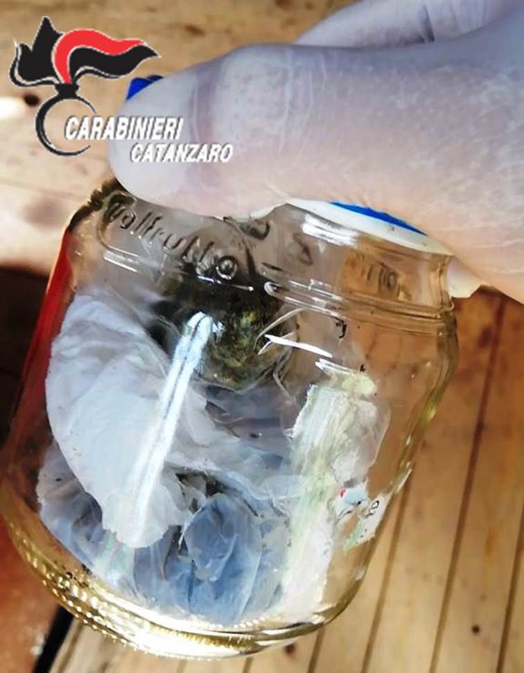 Fermati con 50 grammi di marijuana, in due ai domiciliari
