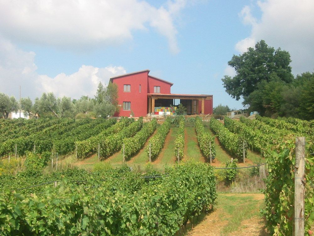 Regione, bando da oltre 900mila euro per il settore vitivinicolo