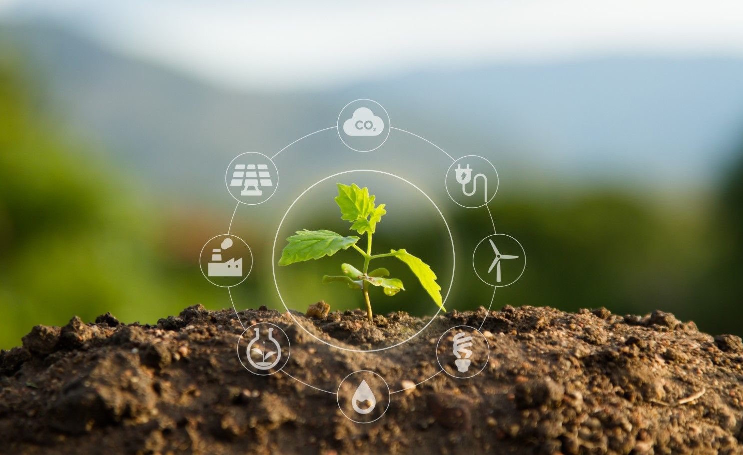 Carbon farming, i Giovani di Confagricoltura: «In prima linea»