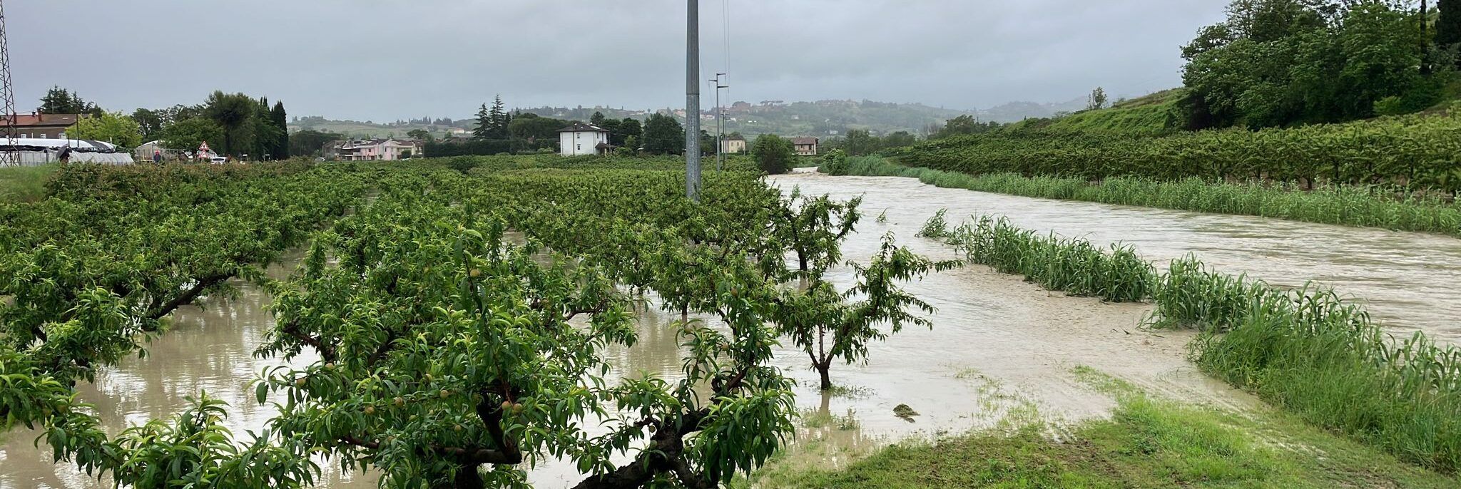 «Clima, continua a salire il conto dei danni in agricoltura»