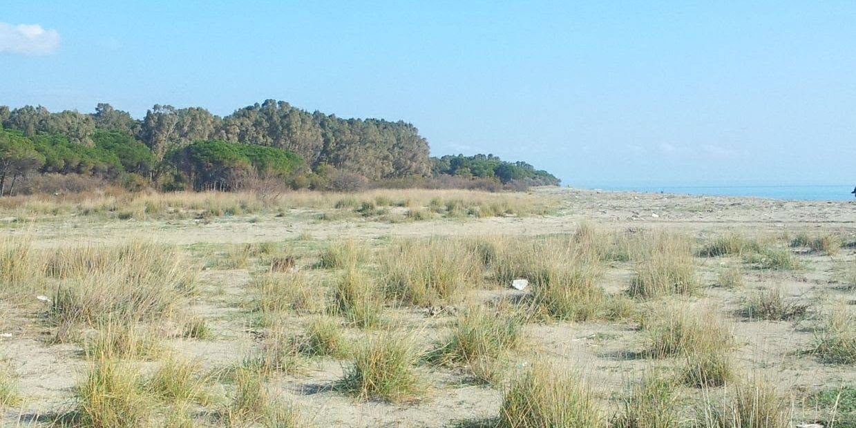 Dune di Giovino, un progetto per restituire valore a uno dei tesori naturali di Catanzaro