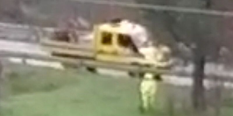 Tragedia sfiorata al “solito” chilometro 83 della Statale 107 Silana-Crotonese