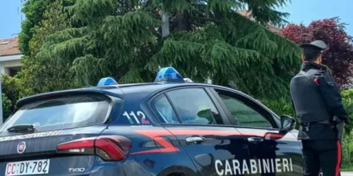 neonato morto sacchetto giardino