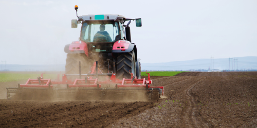ndrangheta terreno isola capo rizzuto