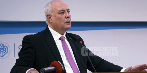 Klaus Algieri camera di commercio cosenza