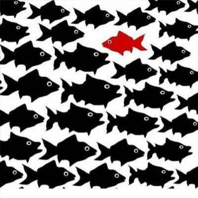 Nasce l'associazione politico-culturale "Controcorrente"