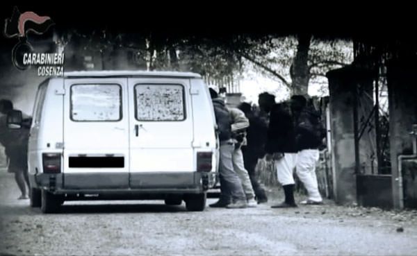 Caporalato in Sila, due condanne e 13 rinvii a giudizio