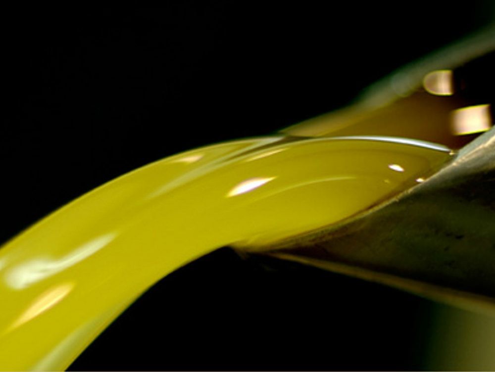 L’oro liquido che può risollevare il pil calabrese