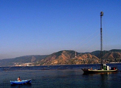 L'esercito che difende i pesci