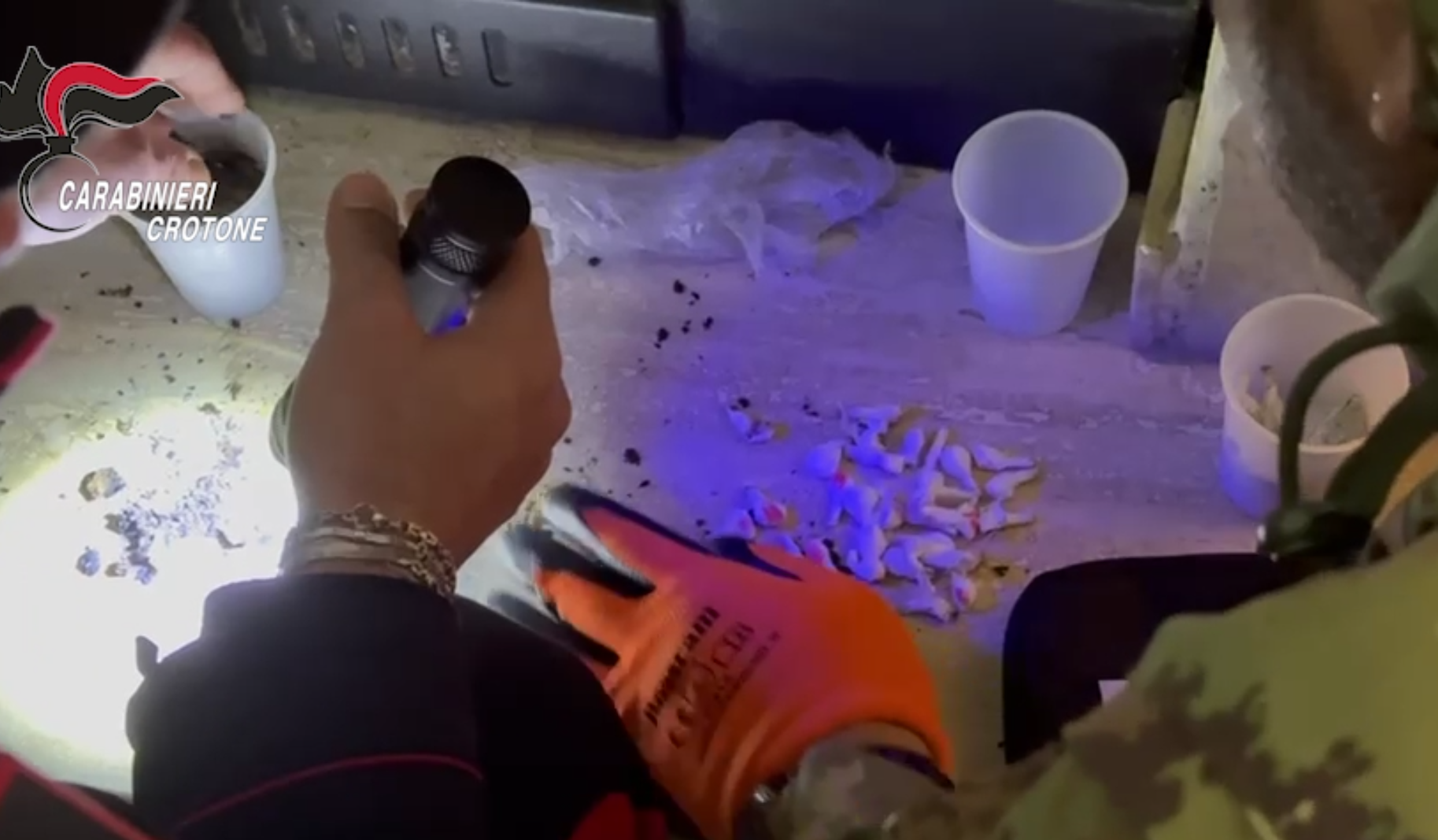 Maxi sequestro di droga nel Crotonese, cocaina e hashish nel camino: 22enne arrestato – VIDEO