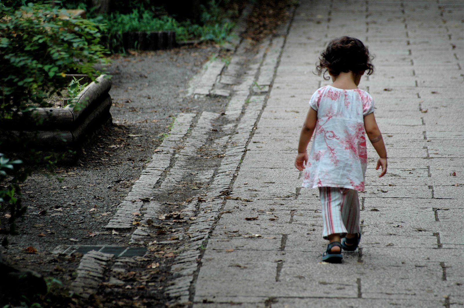 Dramma povertà in crescita, in Calabria oltre quattro cittadini su dieci a rischio – VIDEO