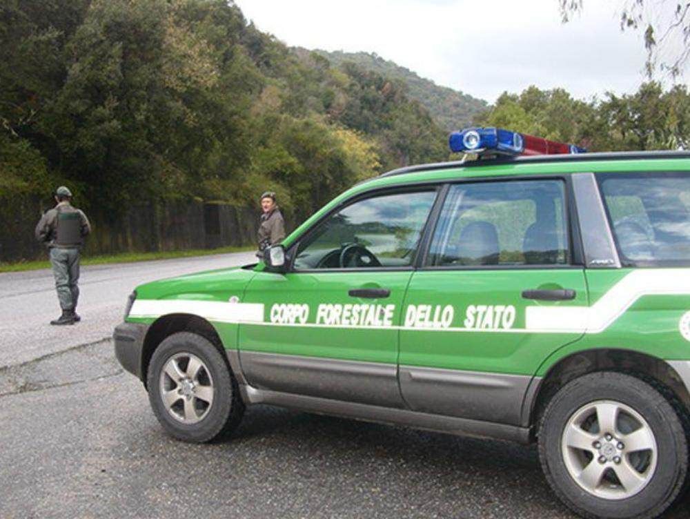 Sequestrata cava abusiva su un terreno di settemila metri quadrati