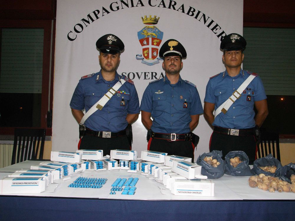 Farmaci e fiori di papavero, arrestato commerciante indiano