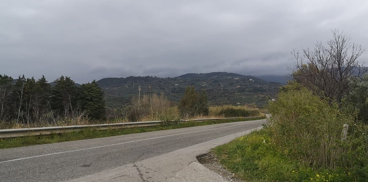 Paura a Gizzeria, pitbull aggredisce un giovane e il suo cane: intervengono i carabinieri