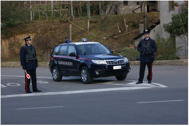 Anoia, rubano 25 quintali di alberi di ulivo, quattro arresti