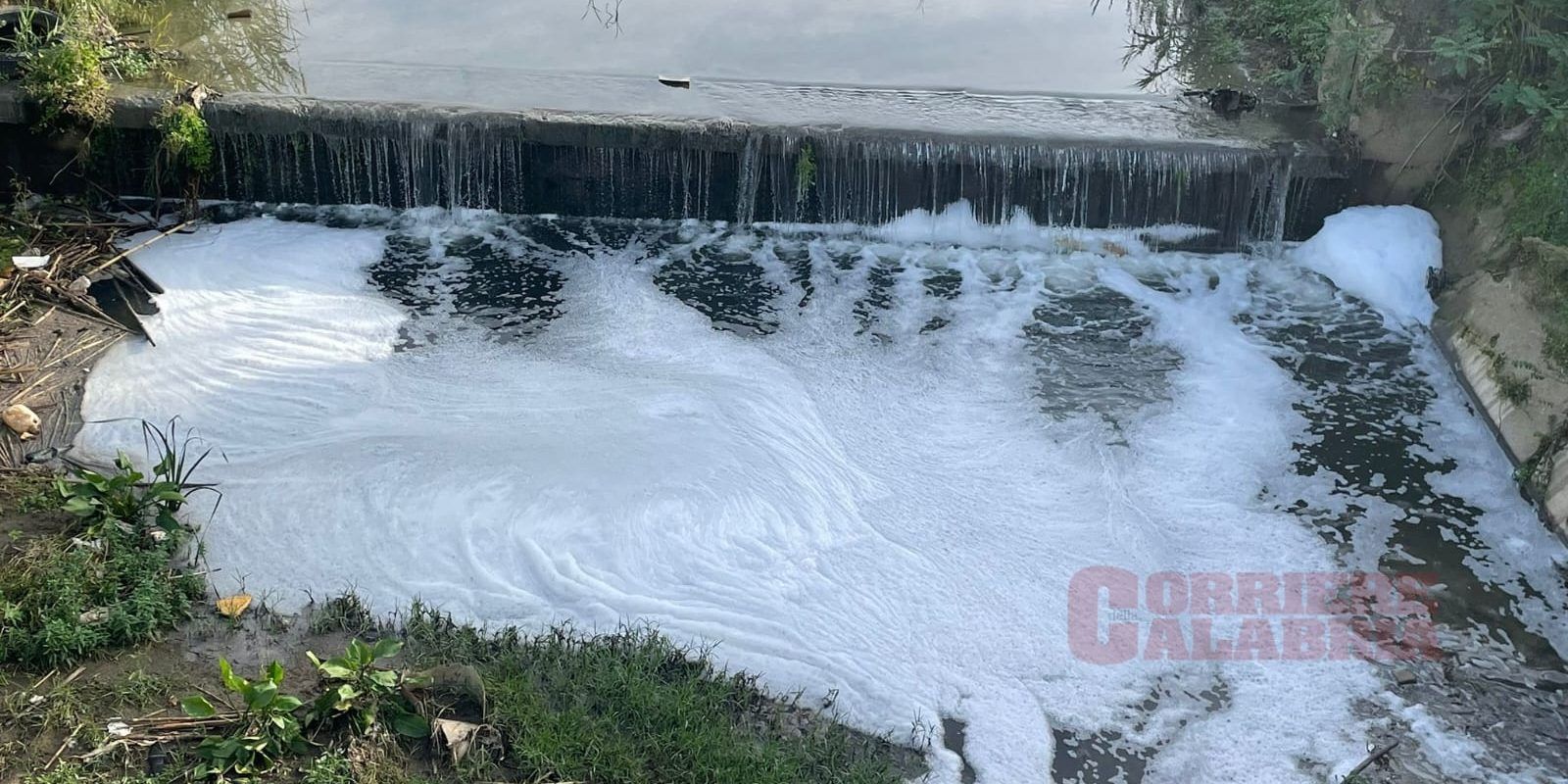 Lamezia, sospetto sversamento nel fiume Cantagalli: la schiuma preoccupa i residenti di Sant’Eufemia – FOTO e VIDEO