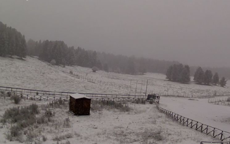 Sila e Pollino si svegliano imbiancati