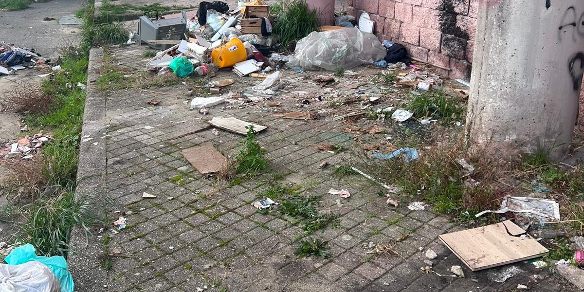Cosenza, una residente di via Popilia: «Qui rischiamo di essere mangiati dall’immondizia» – FOTO