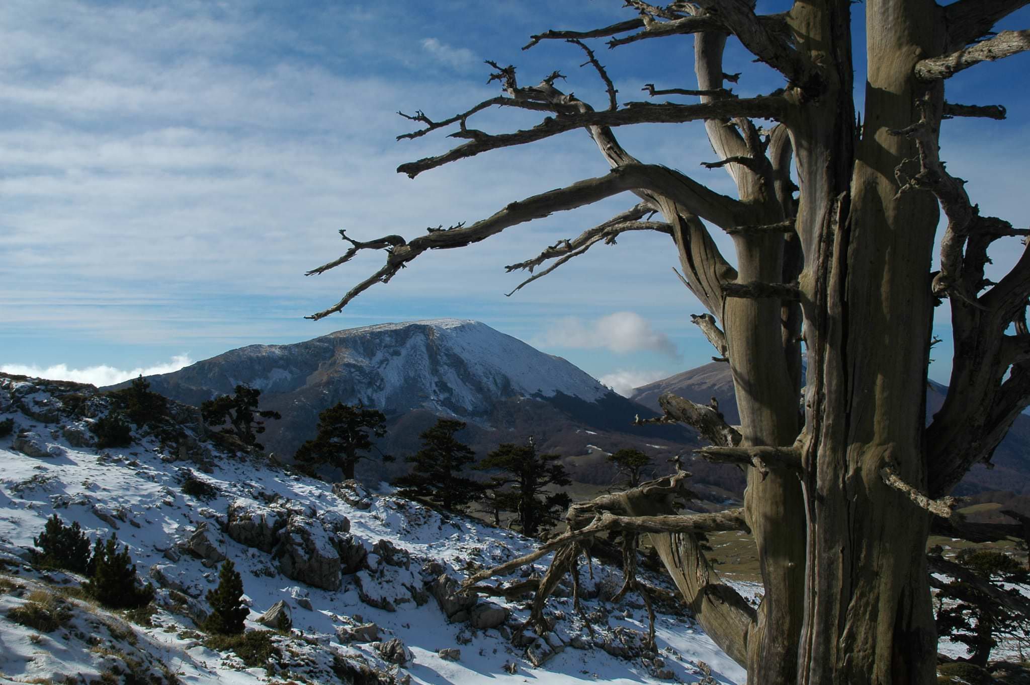 «Il mio coming out politico»