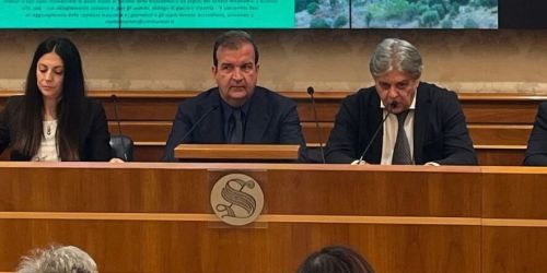 occhiuto turismo radici