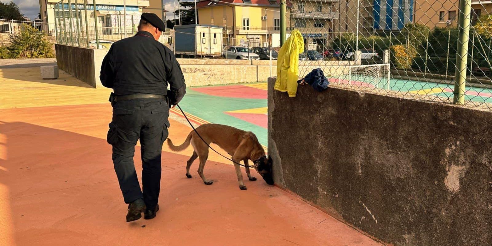 Catanzaro, la droga nascosta nel parco. Sequestro dei carabinieri (grazie al fiuto del cane Batik)