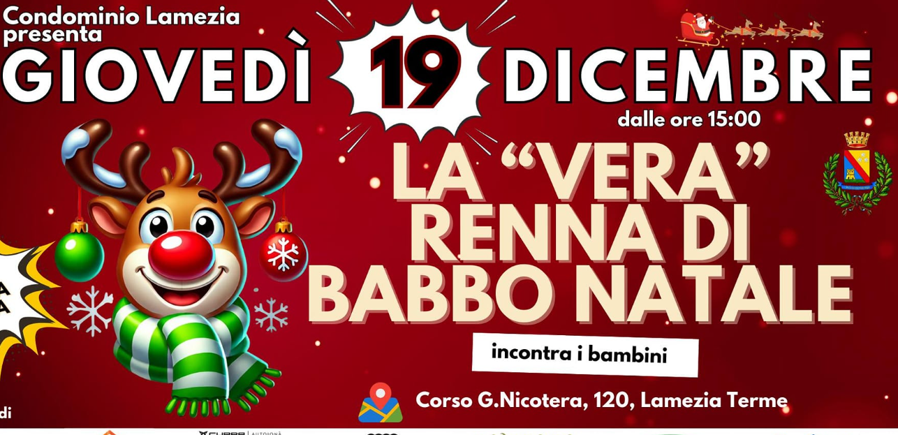 Una renna per le vie di Lamezia, la contestazione di OIPA: «Scelta immorale e dannosa»