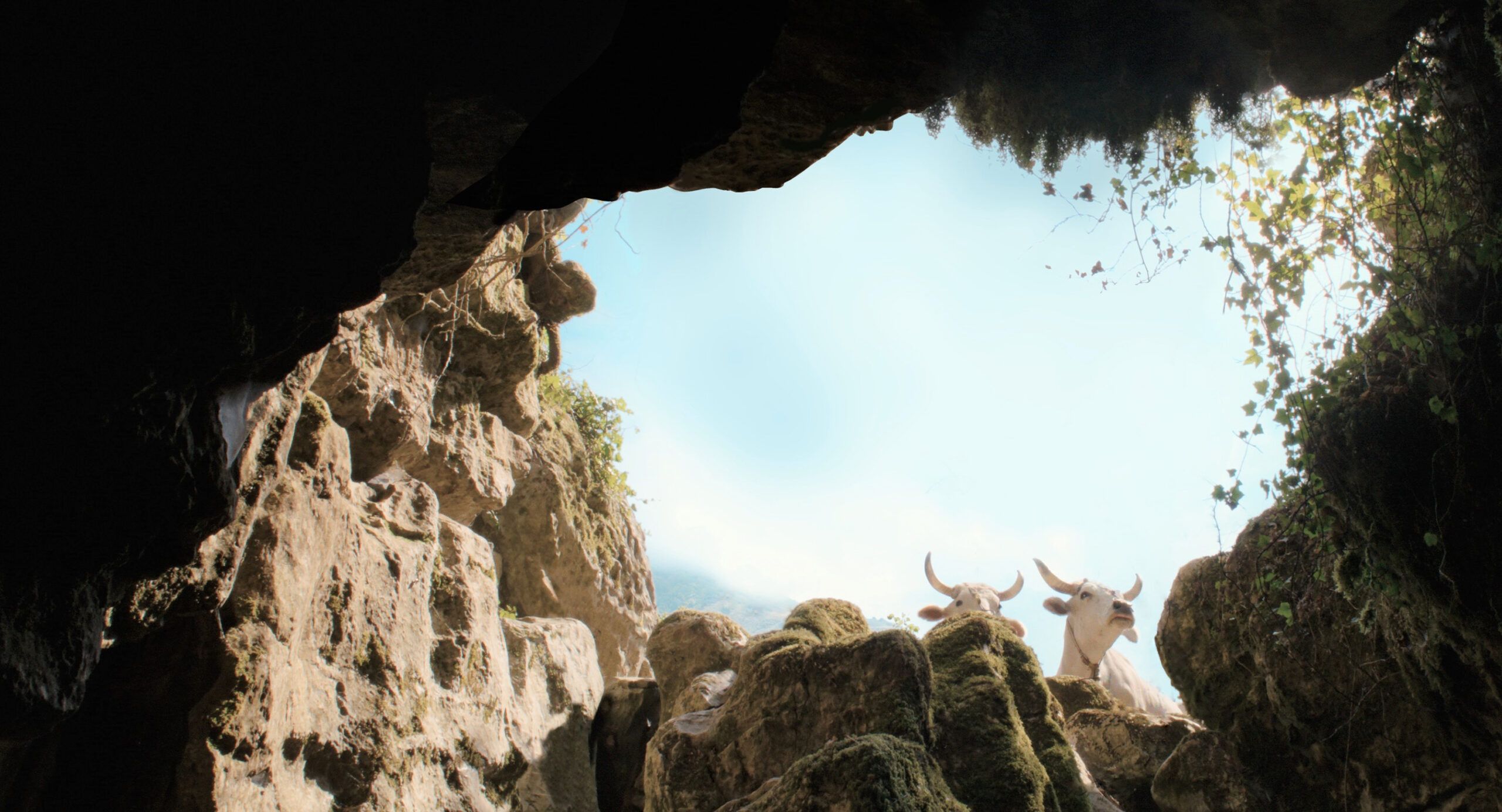 Con Frammartino la Calabria in concorso a Venezia