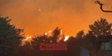 Incendio sul Pollino, arrestato il presunto piromane. Stava per appiccare un nuovo rogo – VIDEO