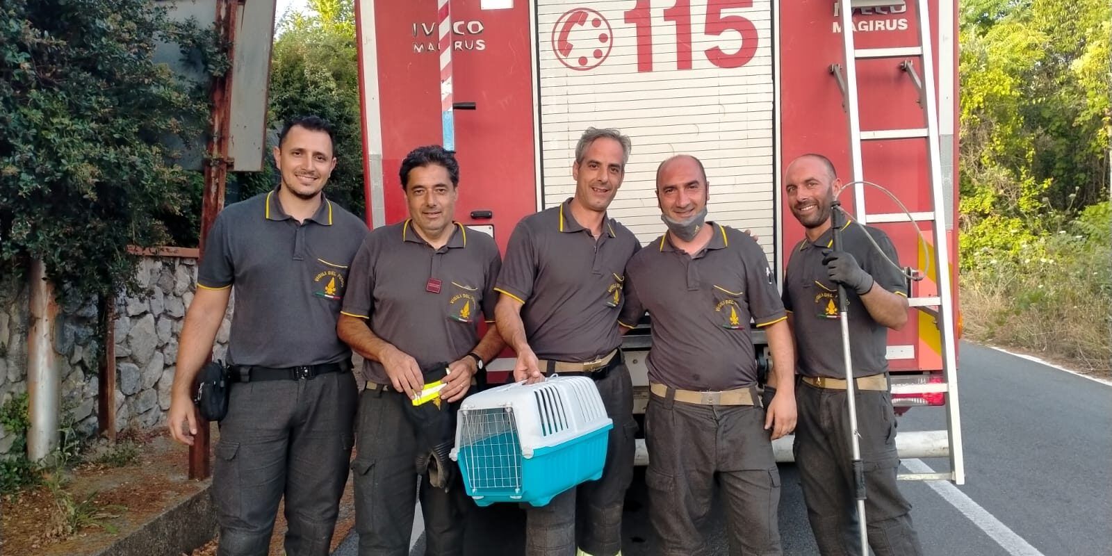 Lamezia, i Vigili del fuoco salvano una gattina bloccata su un albero