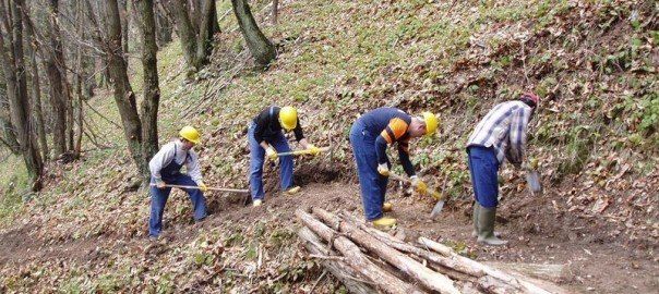 Truffe a Calabria Verde, Allevato resta a piede libero
