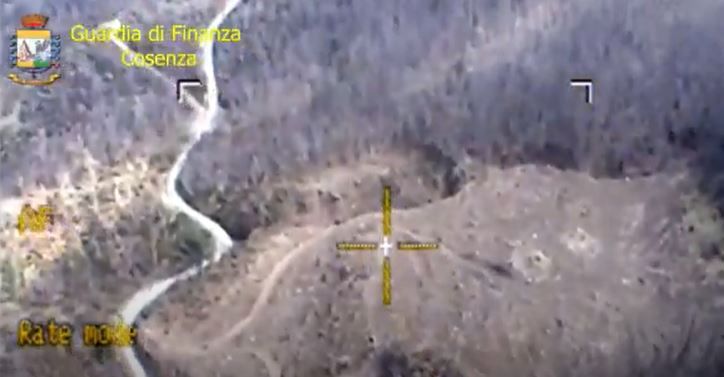 Il cartello che controlla i boschi della Sila e il patrimonio «sproporzionato» degli Spadafora