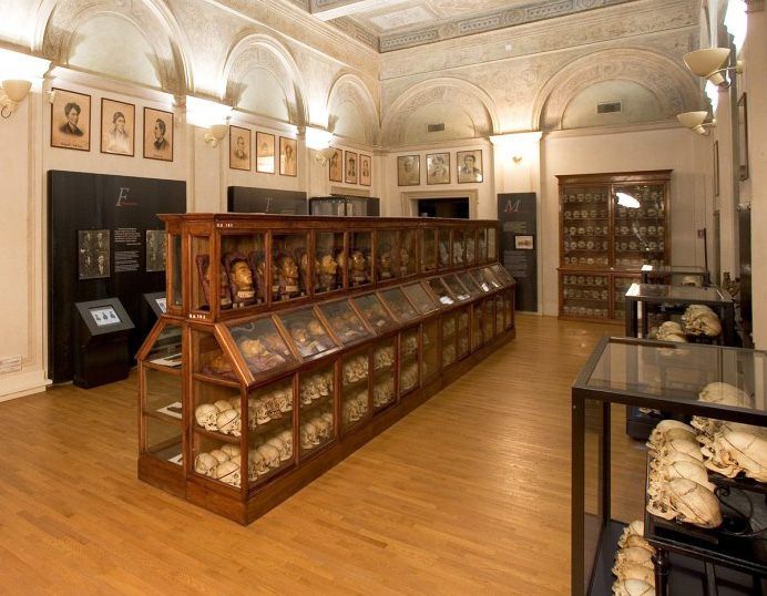 Museo Lombroso, Greco e Sergio: «Va rispettata la dignità di un popolo»