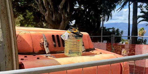 intimidazione reggio calabria