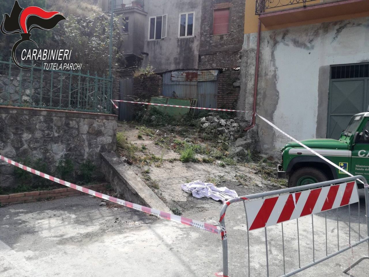 Cani avvelenati nel Catanzarese, beccato il responsabile