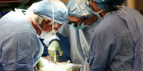 Al Gom di Reggio Calabria effettuati sei trapianti renali in quattro giorni