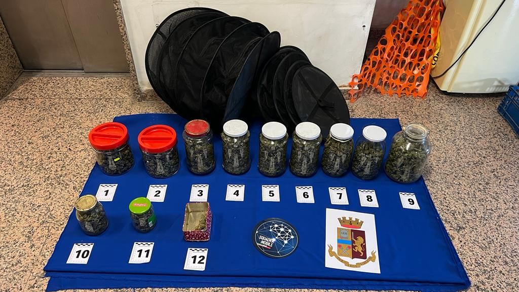 Droga e armi a Cosenza, 2 persone agli arresti domiciliari