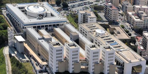 Università Mediterranea Reggio