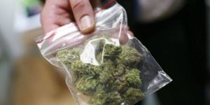 Castrolibero, una serra artigianale in casa: obbligo di presentazione alla pg per un 37enne