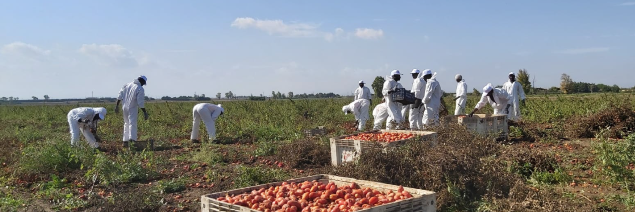 Lotta al caporalato, a Palazzo della Valle il progetto “Radix-Alle radici del problema”
