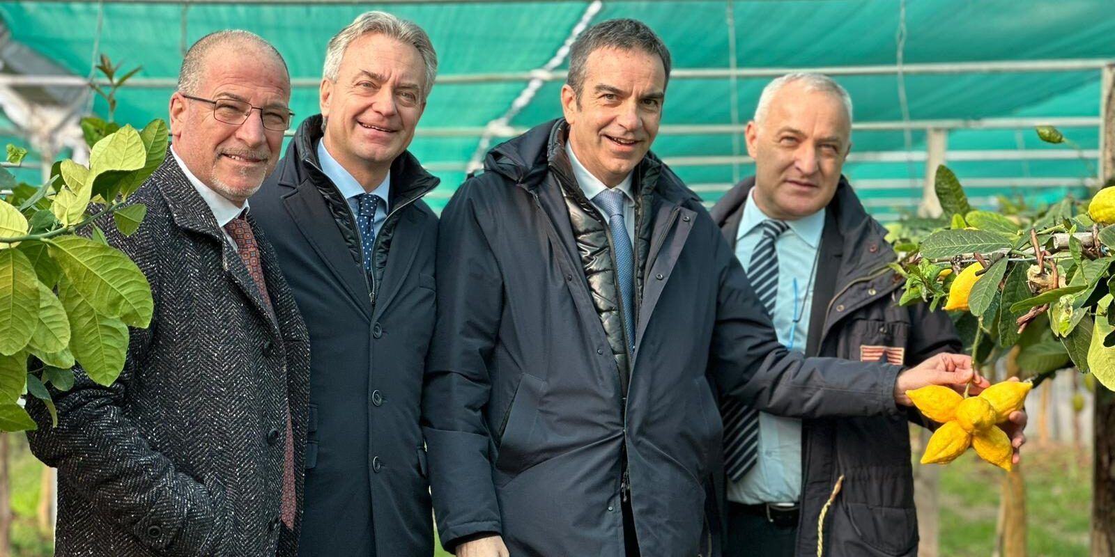 Marchio Dop per il cedro, Occhiuto: con Gallo lo sognavamo da ragazzi, ora è realtà